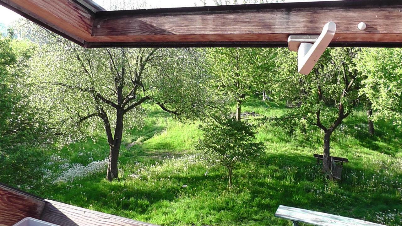 Appel-Ranch Apartment Bockelwitz Luaran gambar