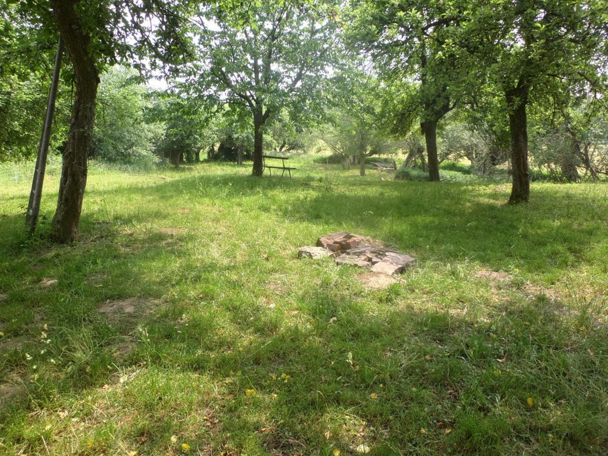 Appel-Ranch Apartment Bockelwitz Luaran gambar