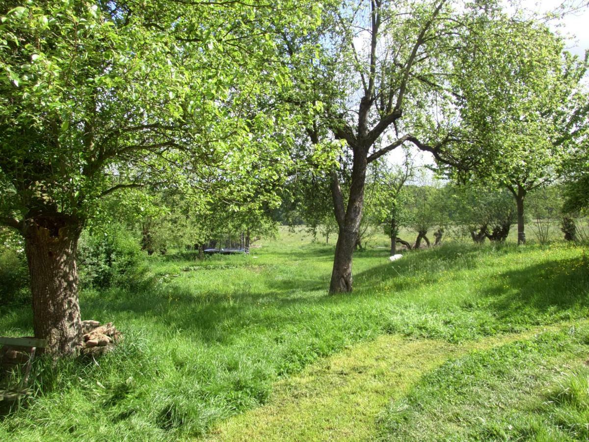 Appel-Ranch Apartment Bockelwitz Luaran gambar