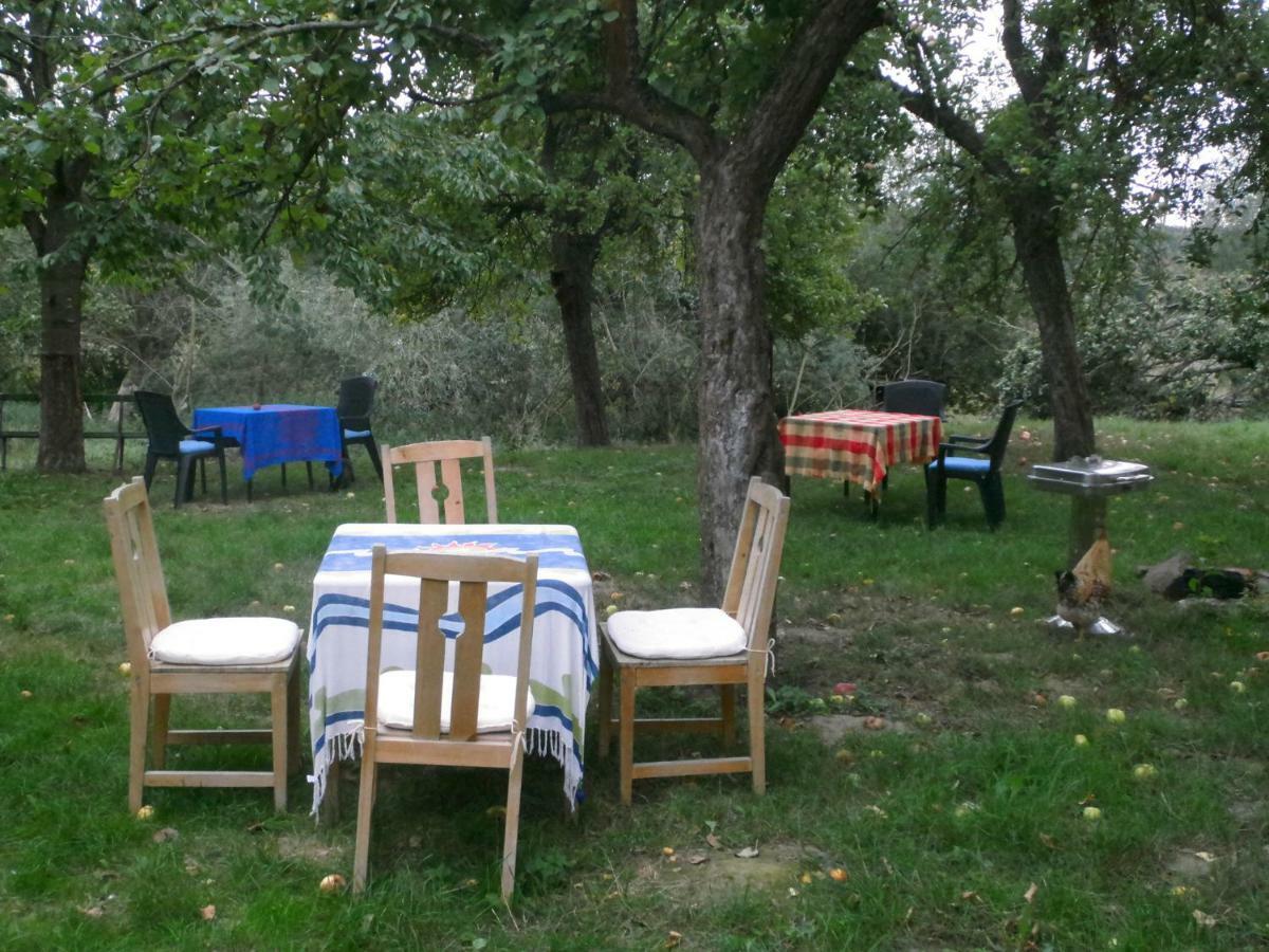 Appel-Ranch Apartment Bockelwitz Luaran gambar